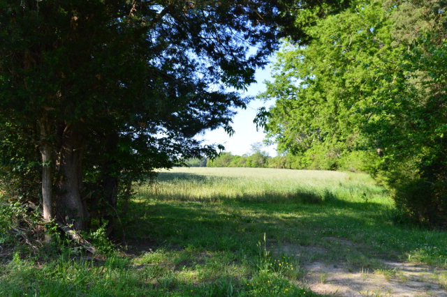 0 Occohannock Neck Road Exmore, VA 23350 - Photo 5 of 22