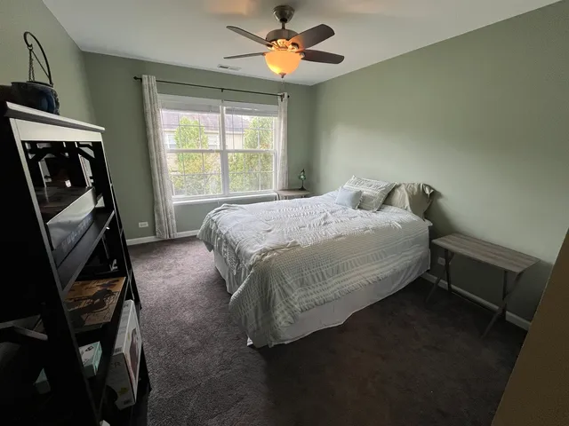 a view of a park with large trees