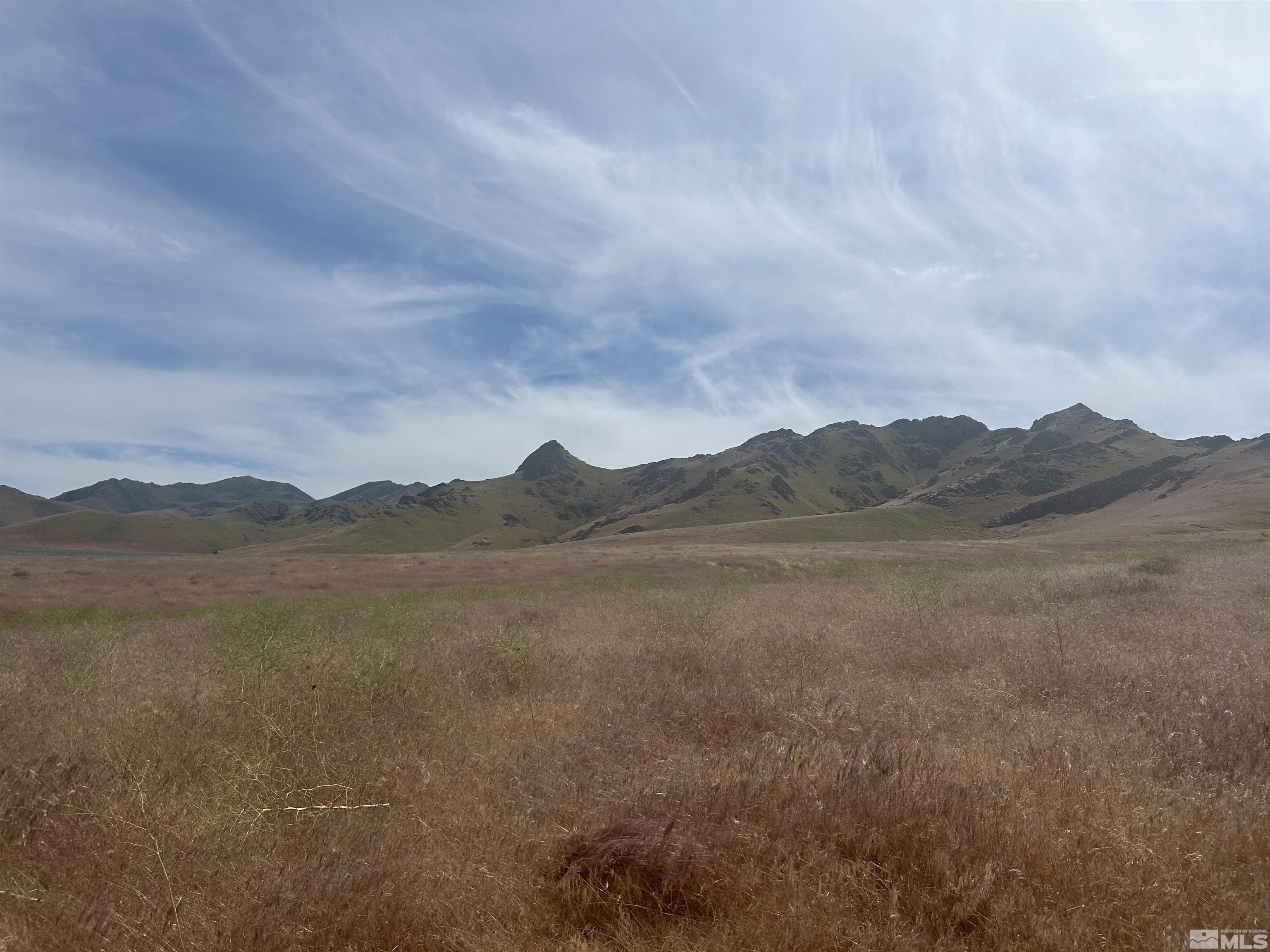 08062101 Golconda Golconda Nv