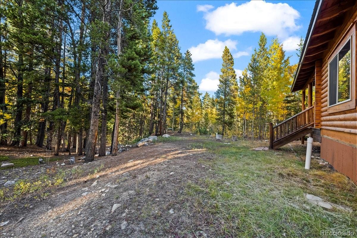 1119 Venture Road Fairplay, CO 80440 - Photo 39 of 50