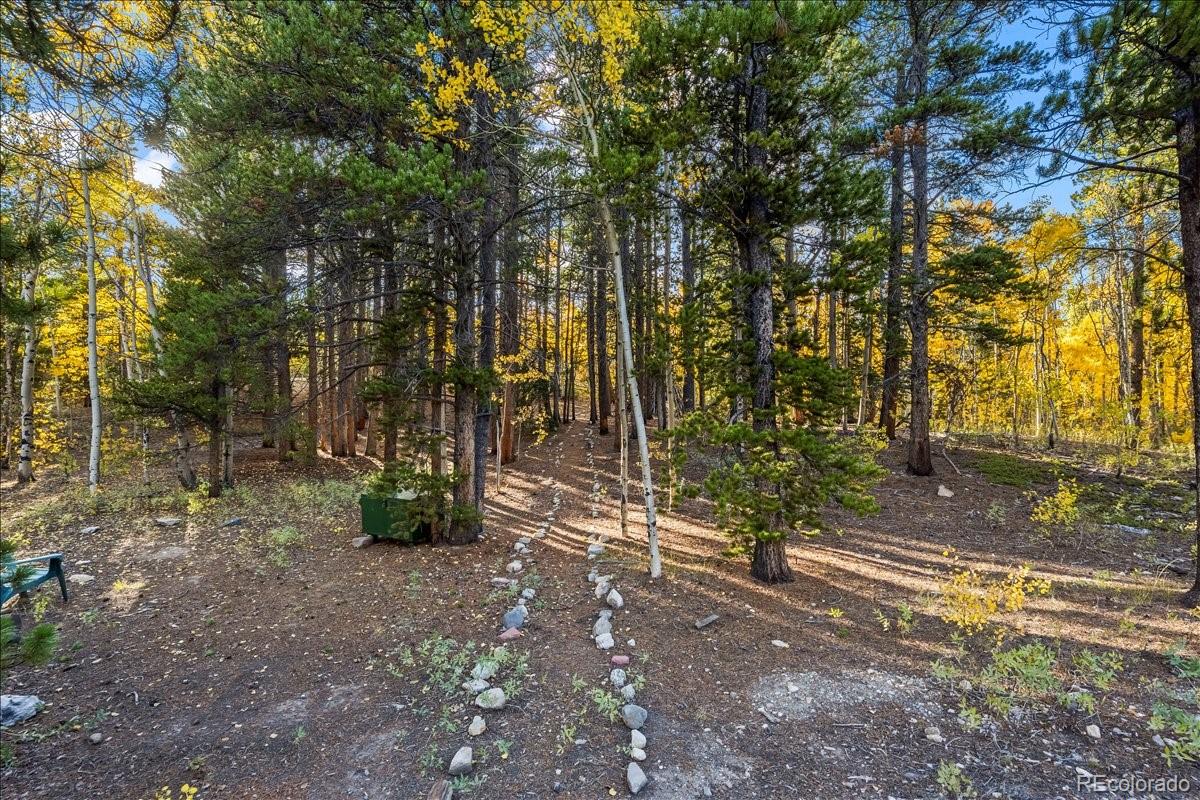 1119 Venture Road Fairplay, CO 80440 - Photo 40 of 50