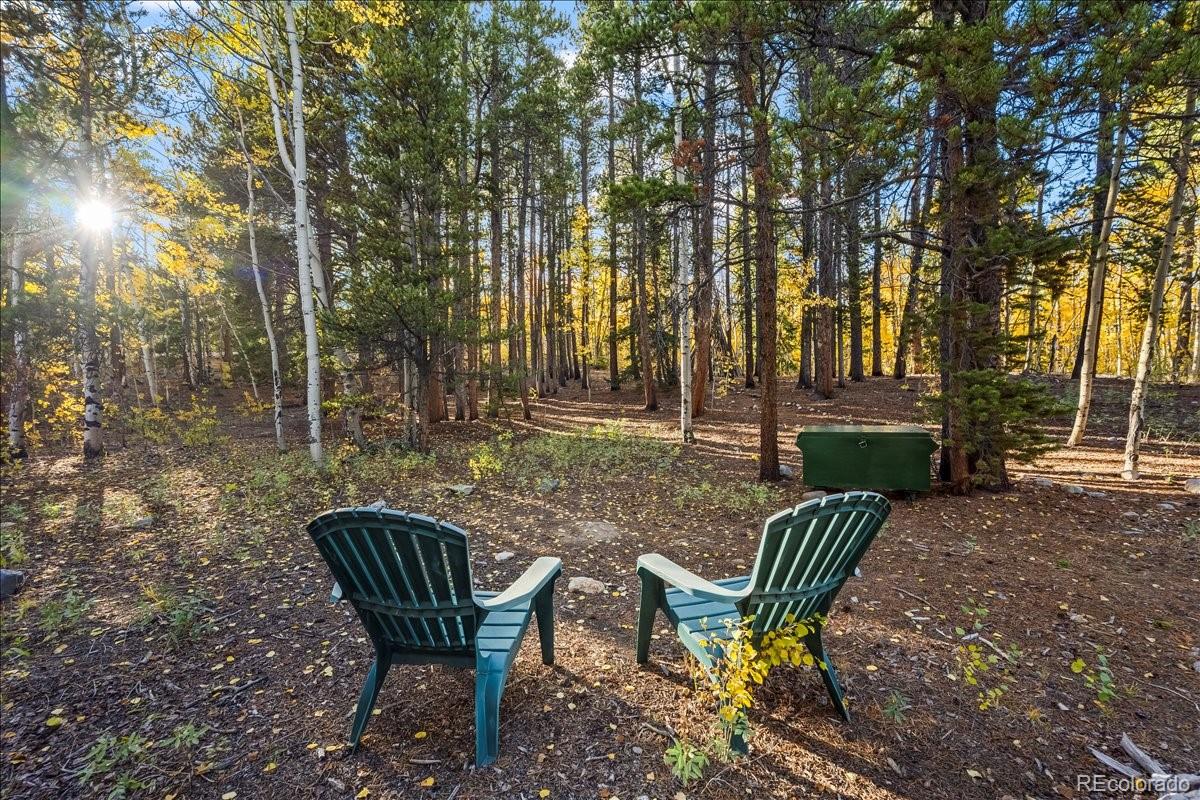 1119 Venture Road Fairplay, CO 80440 - Photo 41 of 50