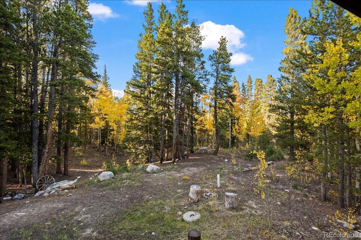 1119 Venture Road Fairplay, CO 80440 - Photo 44 of 50