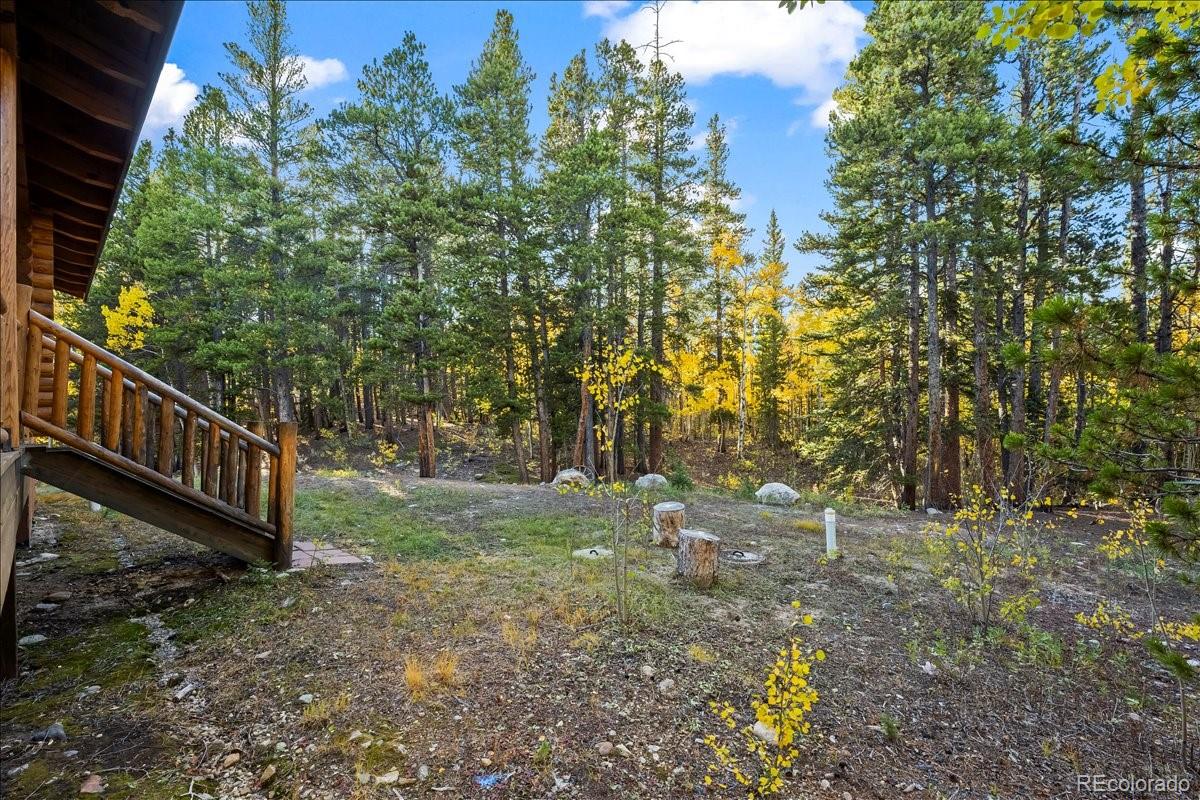 1119 Venture Road Fairplay, CO 80440 - Photo 5 of 50