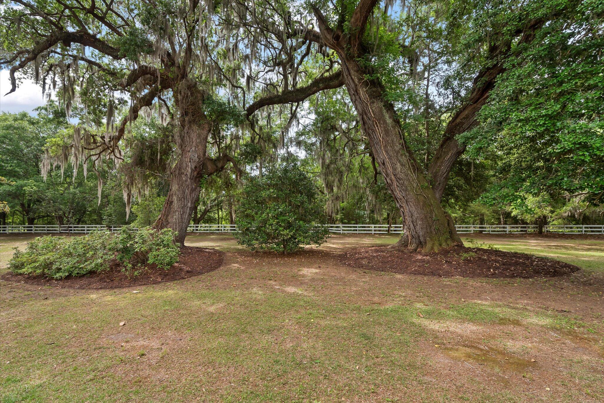 7019 Old Jacksonboro Road Ravenel, SC 29470 - Photo 58 of 73 64-7019 Old Jacksonboro-38