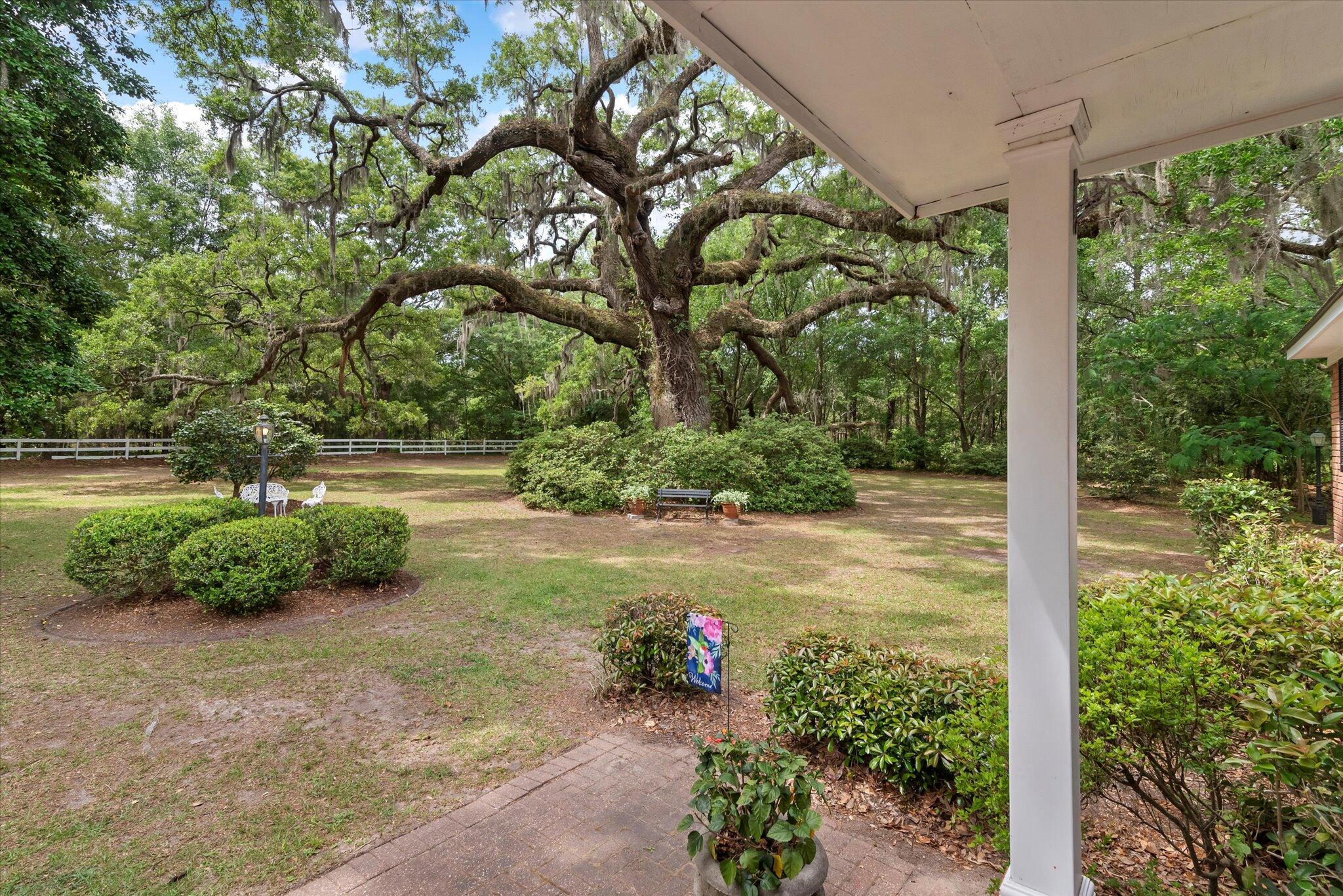 7019 Old Jacksonboro Road Ravenel, SC 29470 - Photo 6 of 73 63-7019 Old Jacksonboro-54
