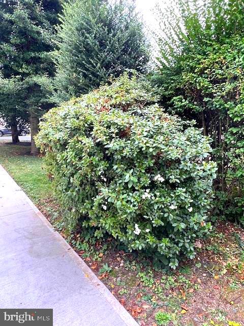 551 Washington Avenue Ewing, NJ 08628 - Photo 28 of 35 a view of a garden with plants