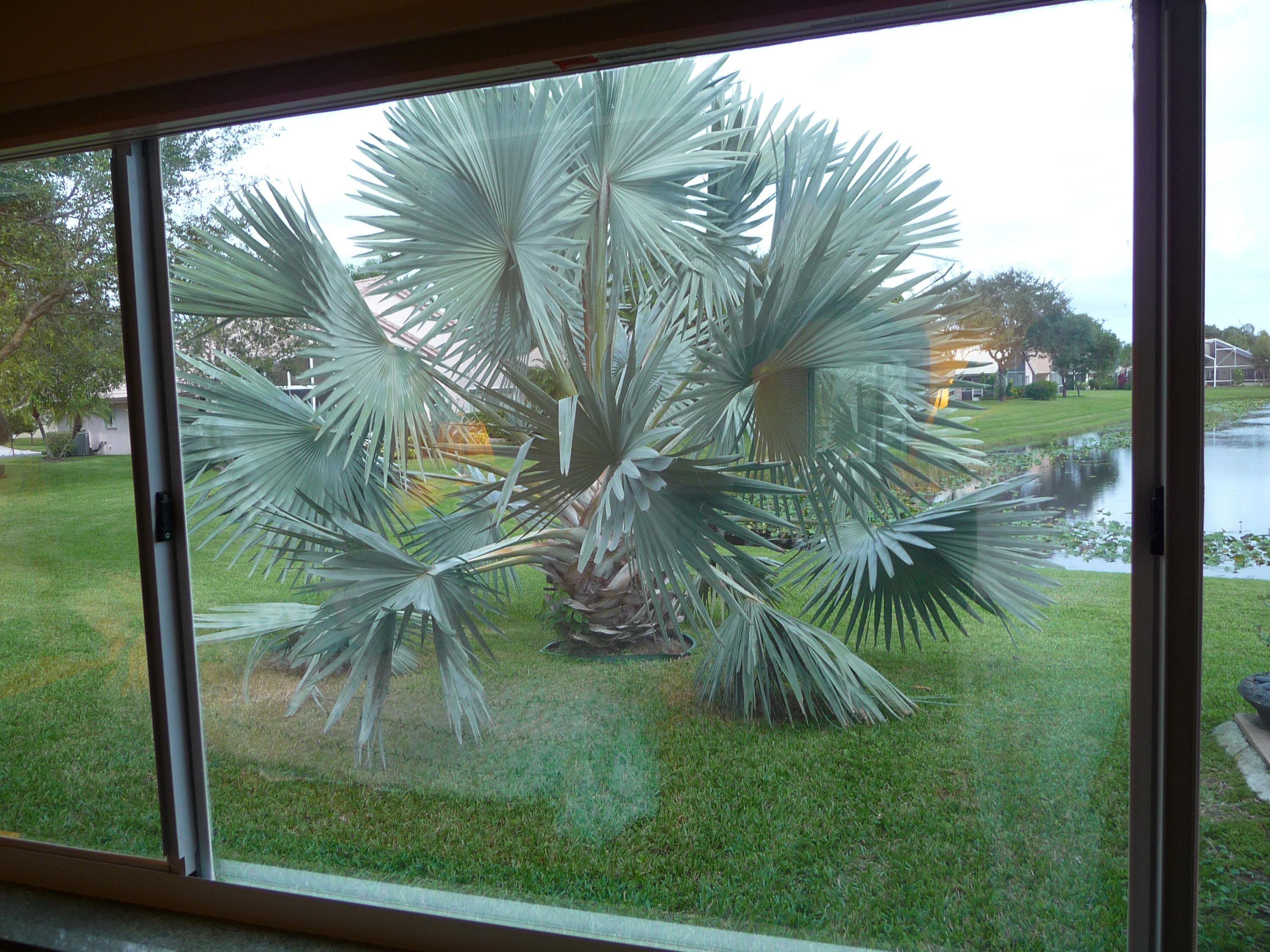 6953 Grenelefe Road Boynton Beach, FL 33437 - Photo 14 of 50 P1060965