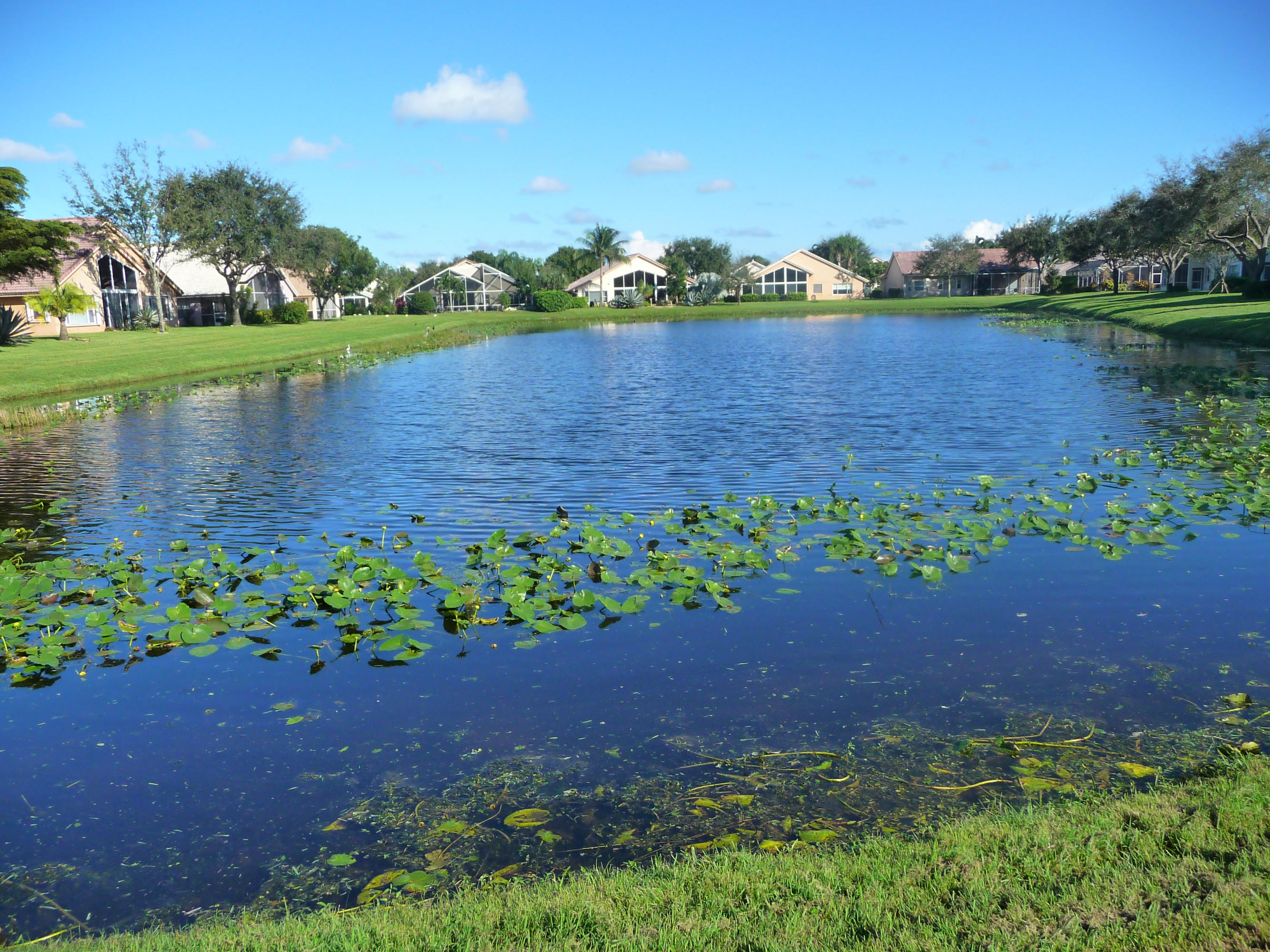 6953 Grenelefe Road Boynton Beach, FL 33437 - Photo 32 of 50 P1060893