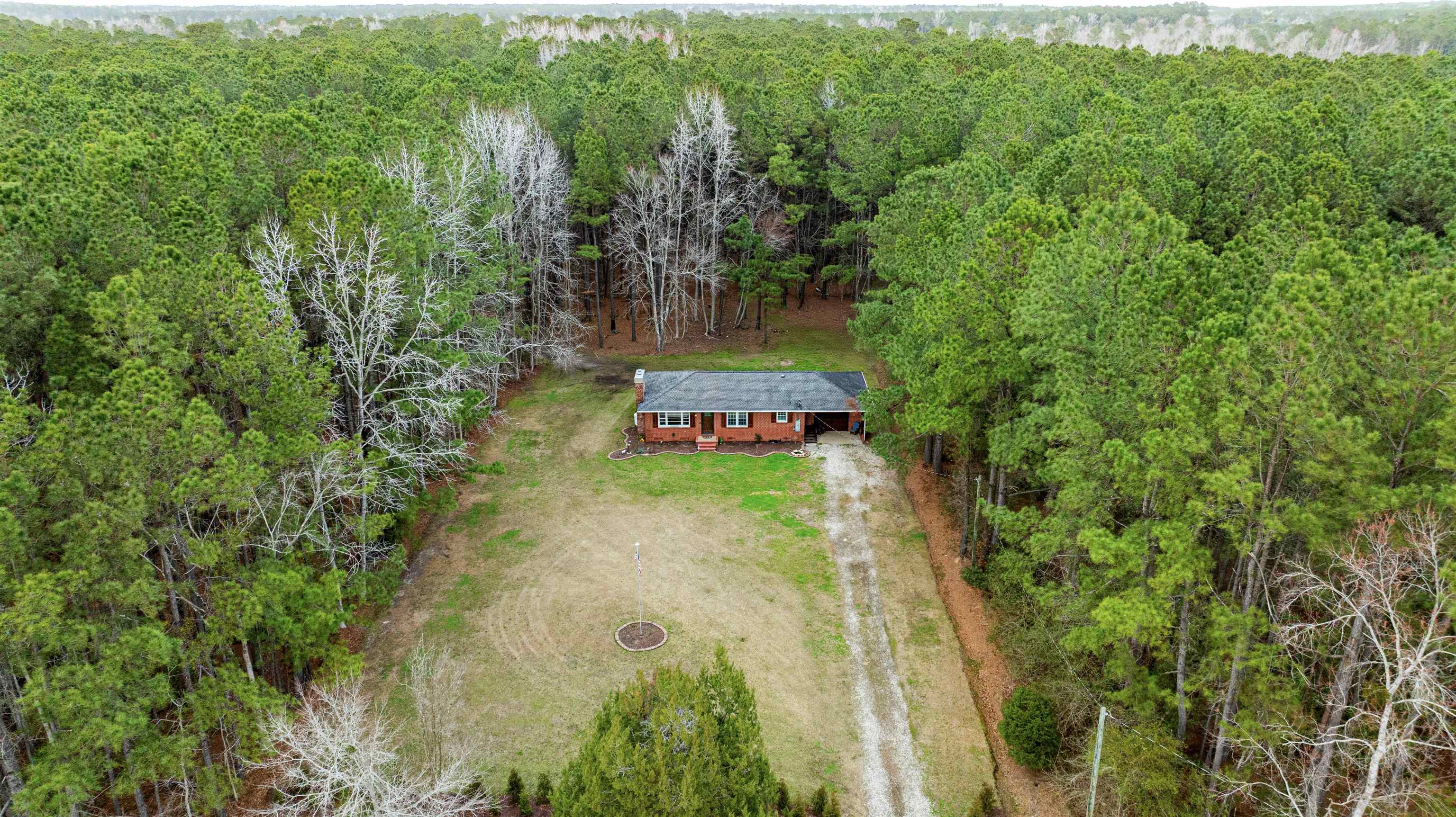 316 County Rd S-22-45 Hemingway, SC 29554 - Photo 3 of 39 Gallery Image 3