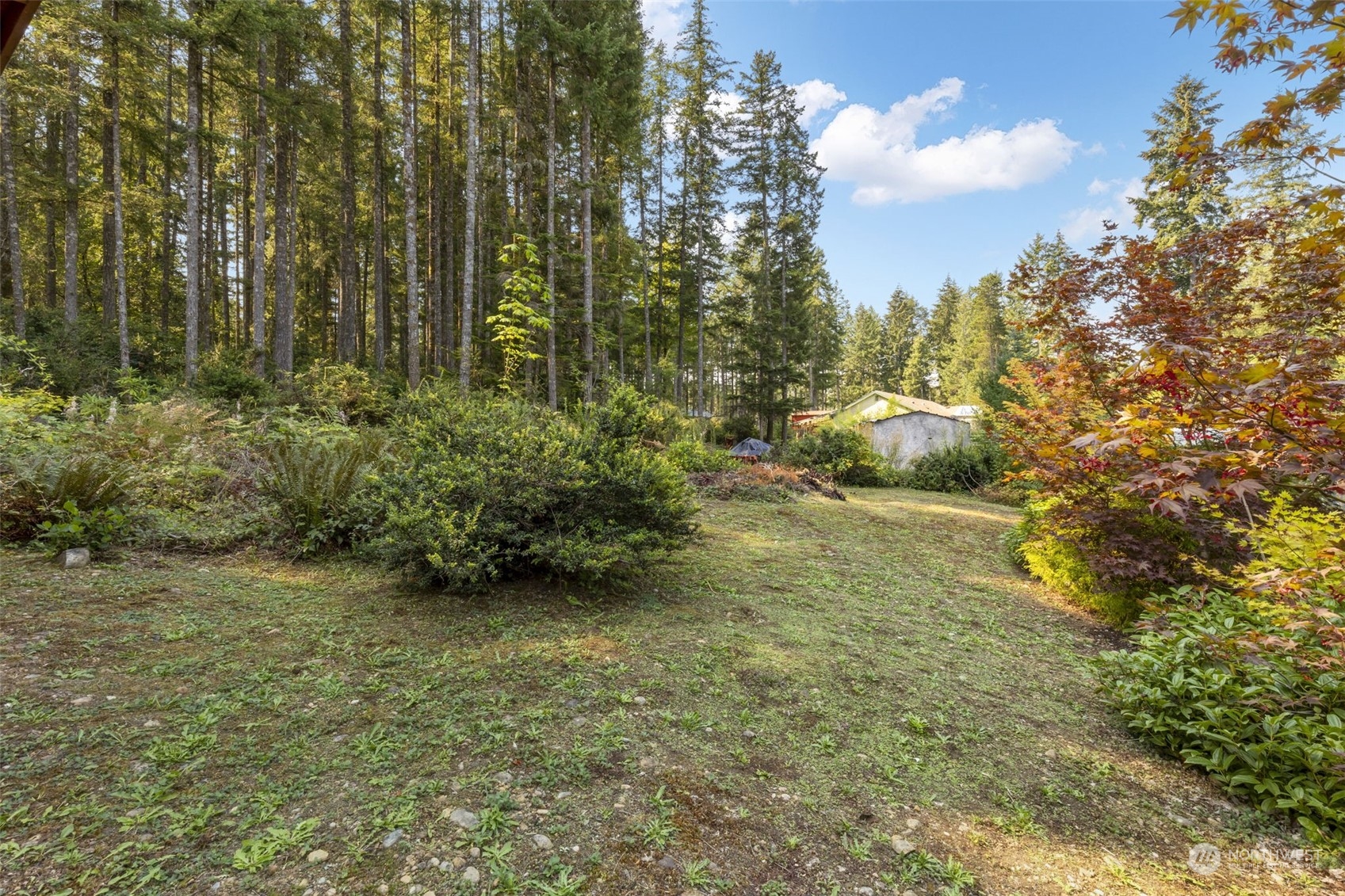 111 Northeast Raintree Lane Tahuya, WA 98588 - Photo 27 of 35 Gallery Image 27