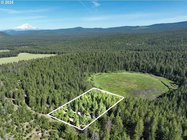a view of a lush green field