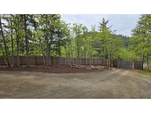 a open area with trees in the background