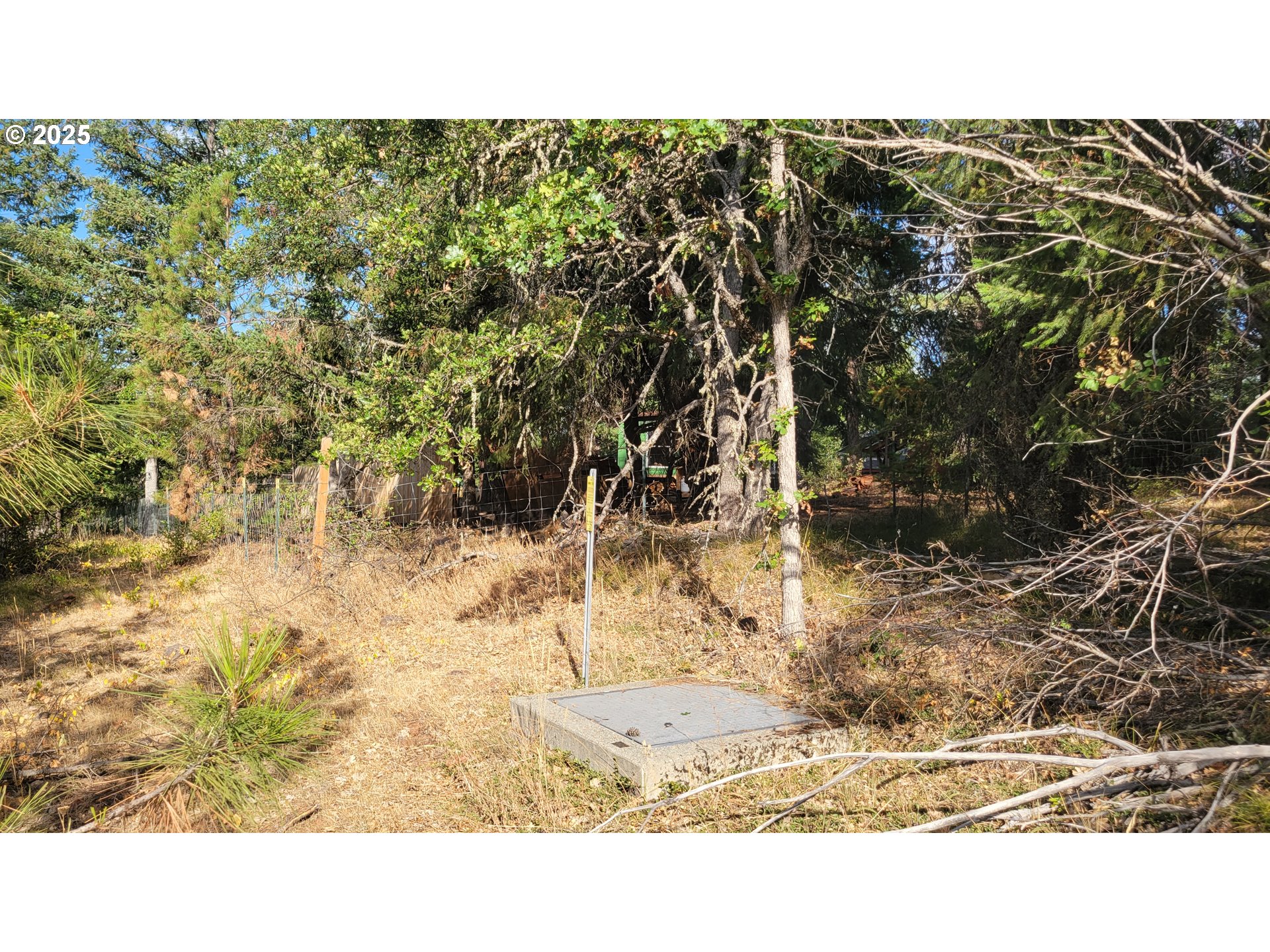 Pine Ridge, Unit 54 Goldendale, WA 98620 - Photo 41 of 43 a picture of a field