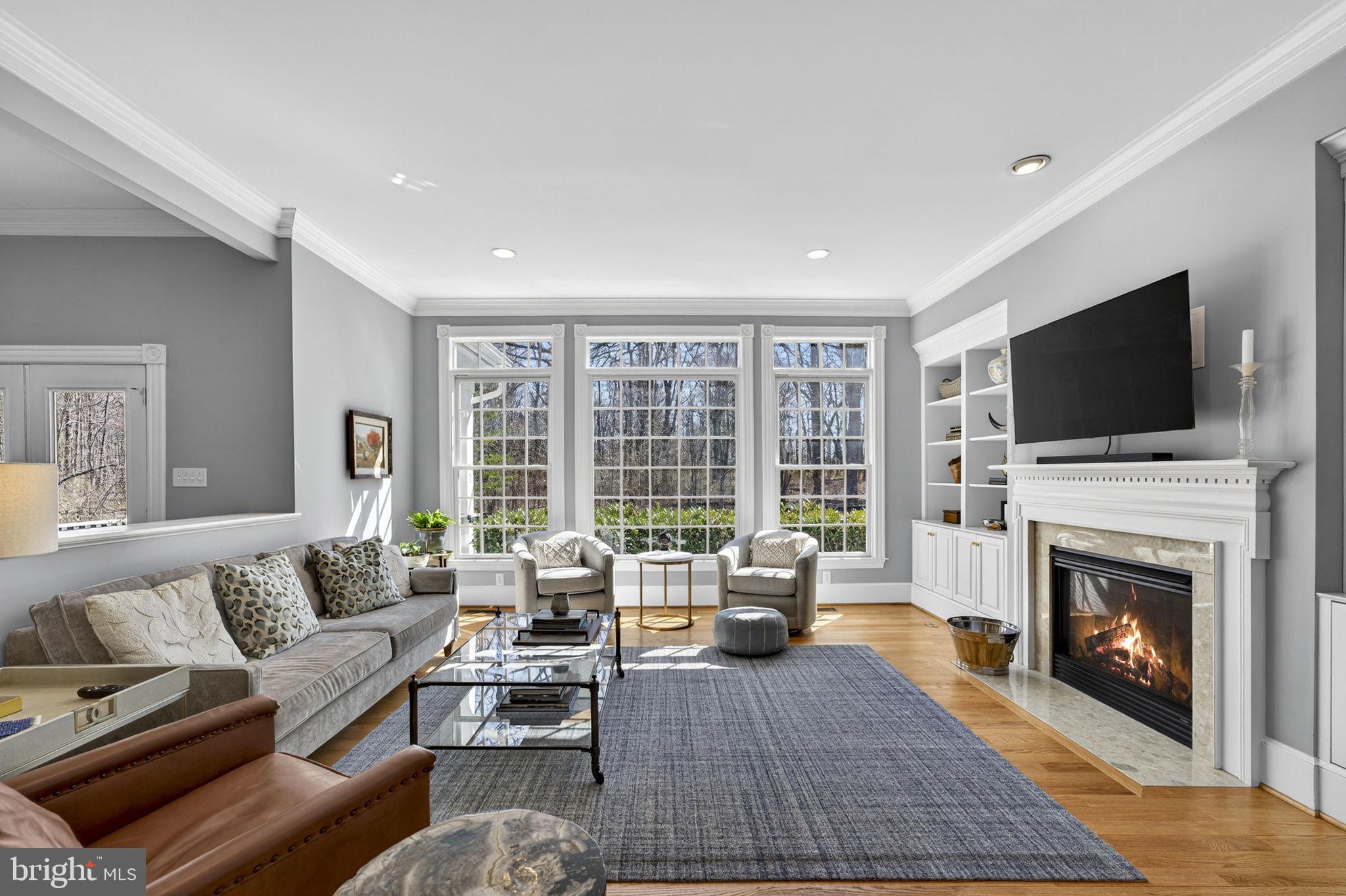18940 Airmont Road Purcellville, VA 20132 - Photo 13 of 91 Elegant Living Room with Fireplace