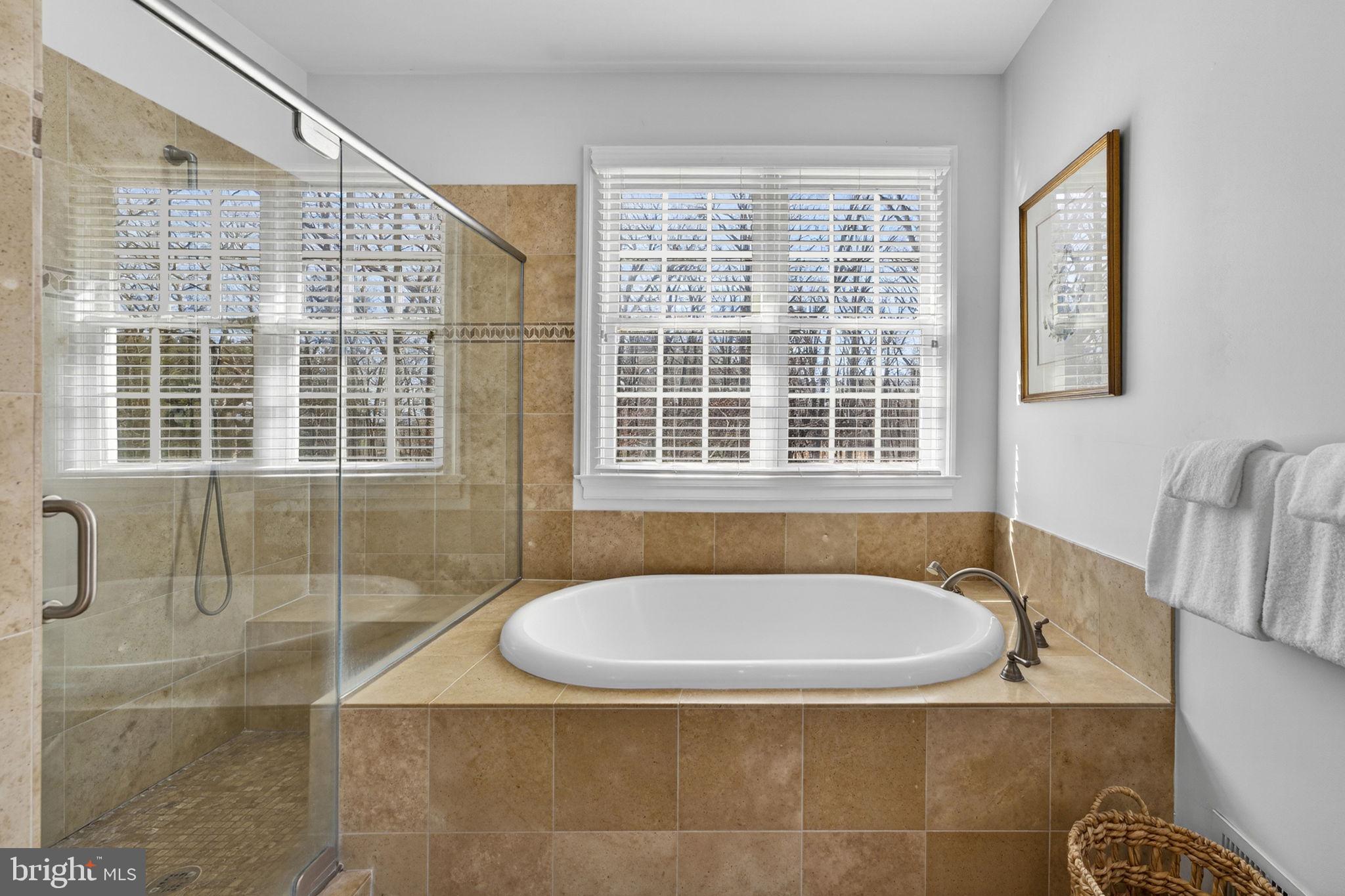 18940 Airmont Road Purcellville, VA 20132 - Photo 36 of 91 Primary Owners Ensuite with Soaking Tub and Shower