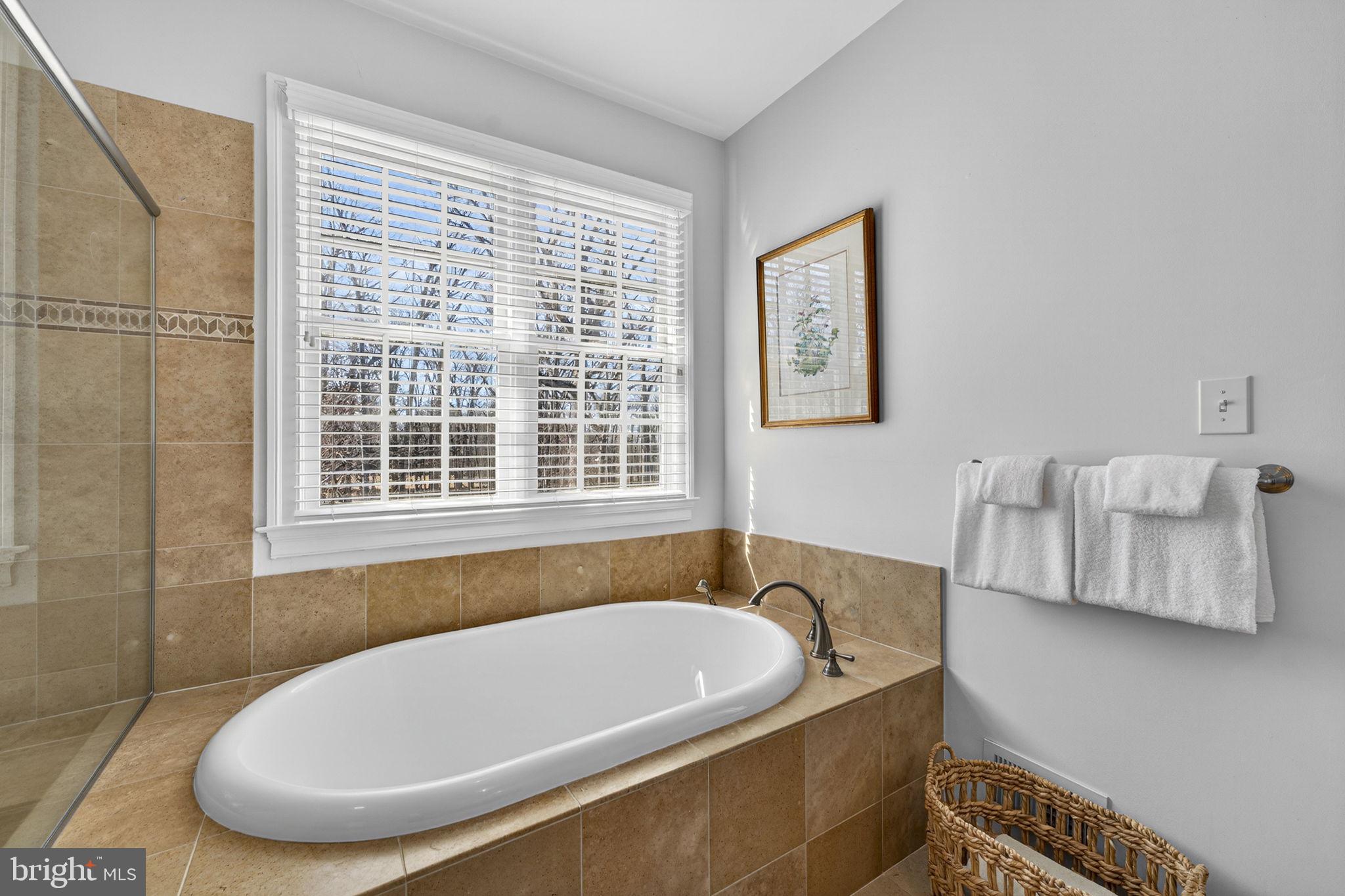 18940 Airmont Road Purcellville, VA 20132 - Photo 37 of 91 Primary Owners Ensuite with Soaking Tub