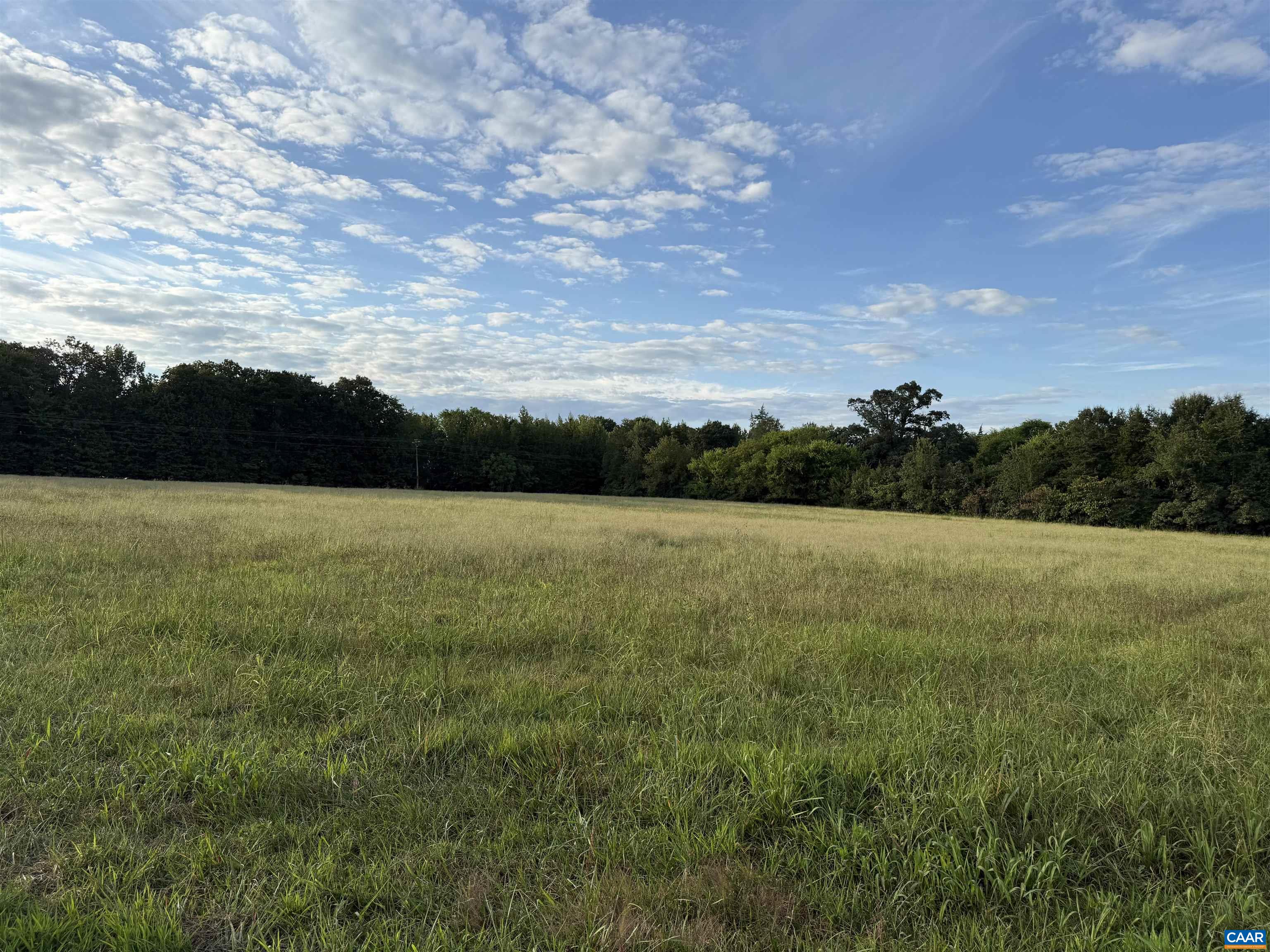 5051 Shannon Hill Road Kents Store, VA 23084 - Photo 52 of 67 NW Pasture