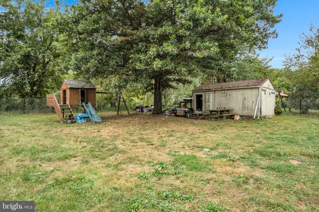 a view of a backyard with large trees