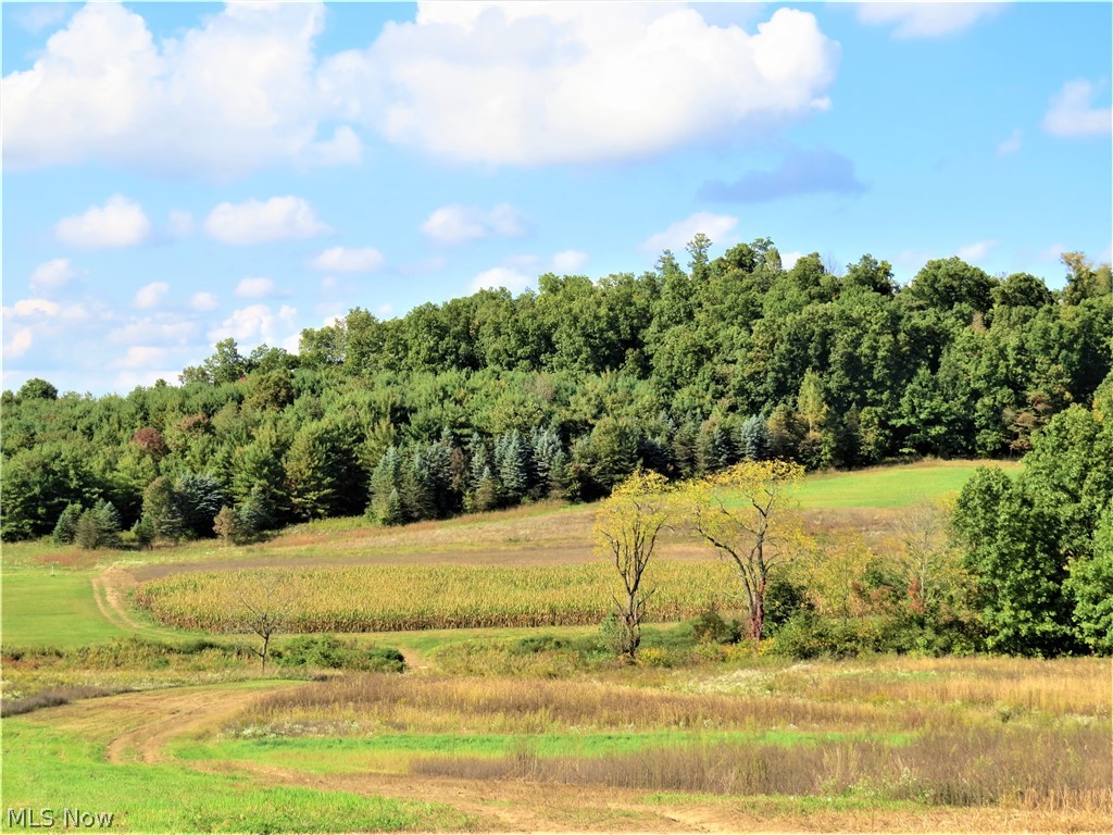 Steubenville Road Southeast Carrollton, OH 44615 - Photo 4 of 7