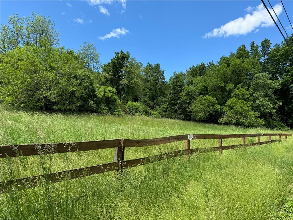Jessup Road Florida, NY 10921 - Photo 3 of 11 a view of outdoor space and yard