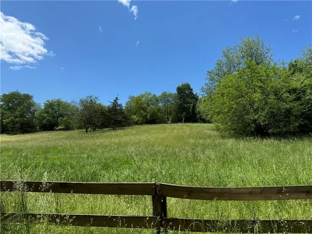 a view of a garden from a yard