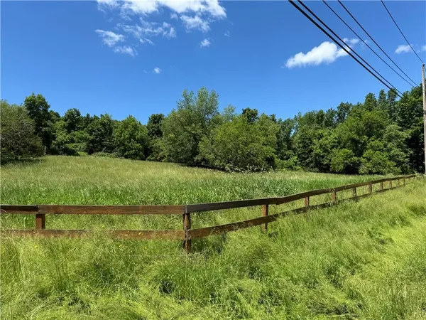 a view of a lush green forest