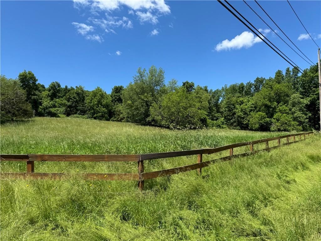 Jessup Road Florida, NY 10921 - Photo 7 of 11 a view of a lush green forest
