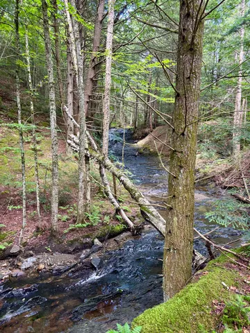 $225,000 | Tbd Wilder Road, Unit 2, Waterbury, VT 05676