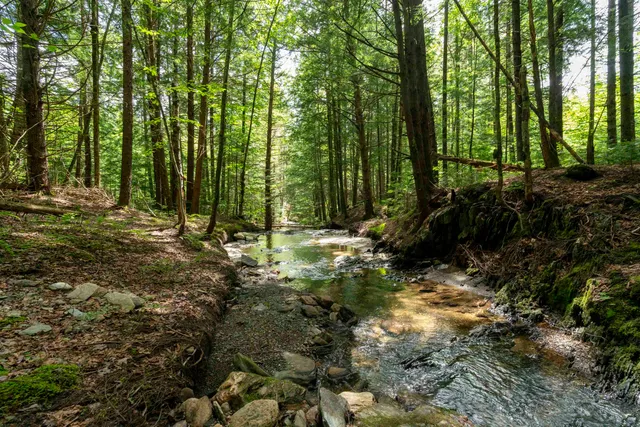 $225,000 | Tbd Wilder Road, Unit 2, Waterbury, VT 05676