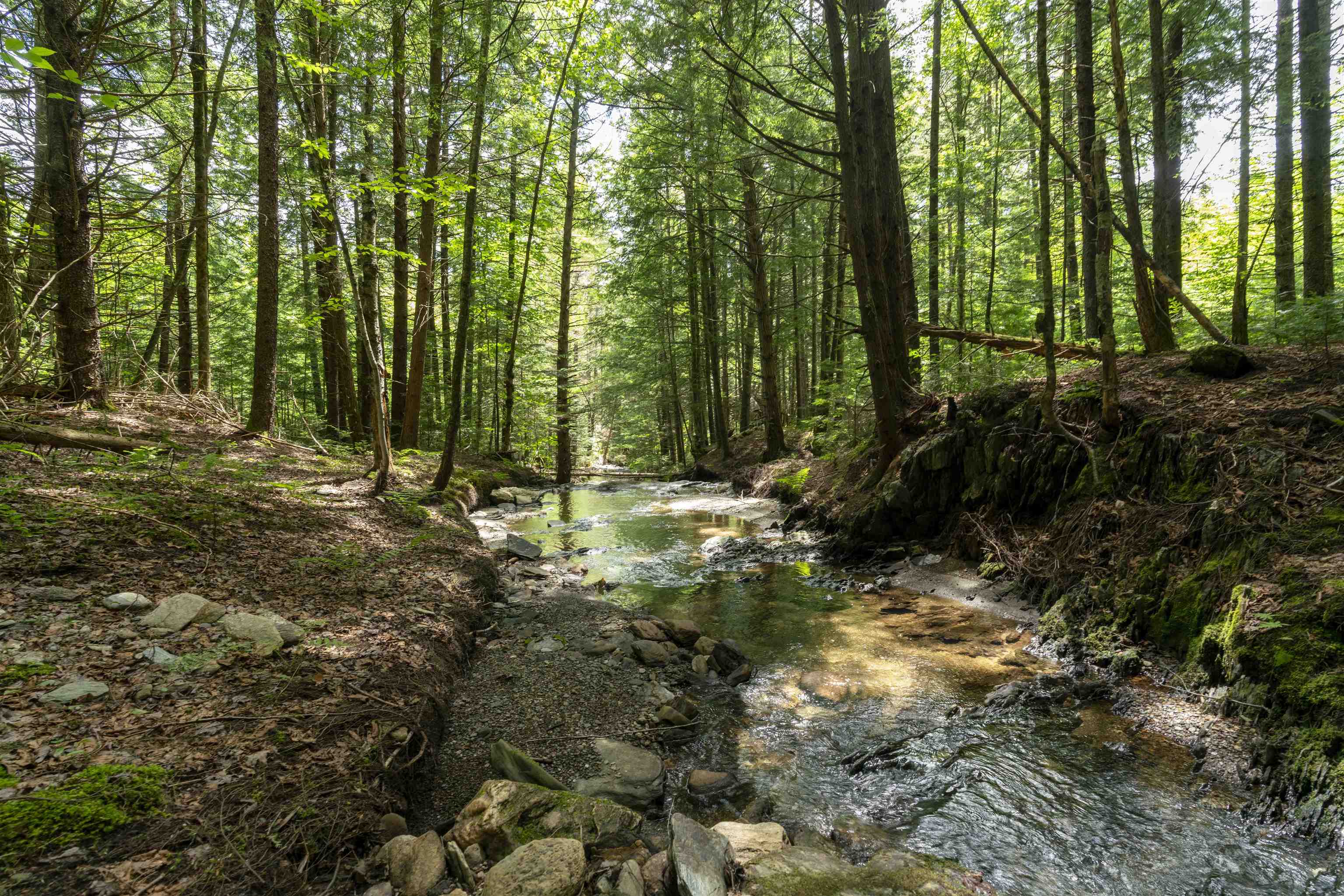 Tbd Wilder Road, Unit 2 Waterbury, VT 05676 - Photo 8 of 13