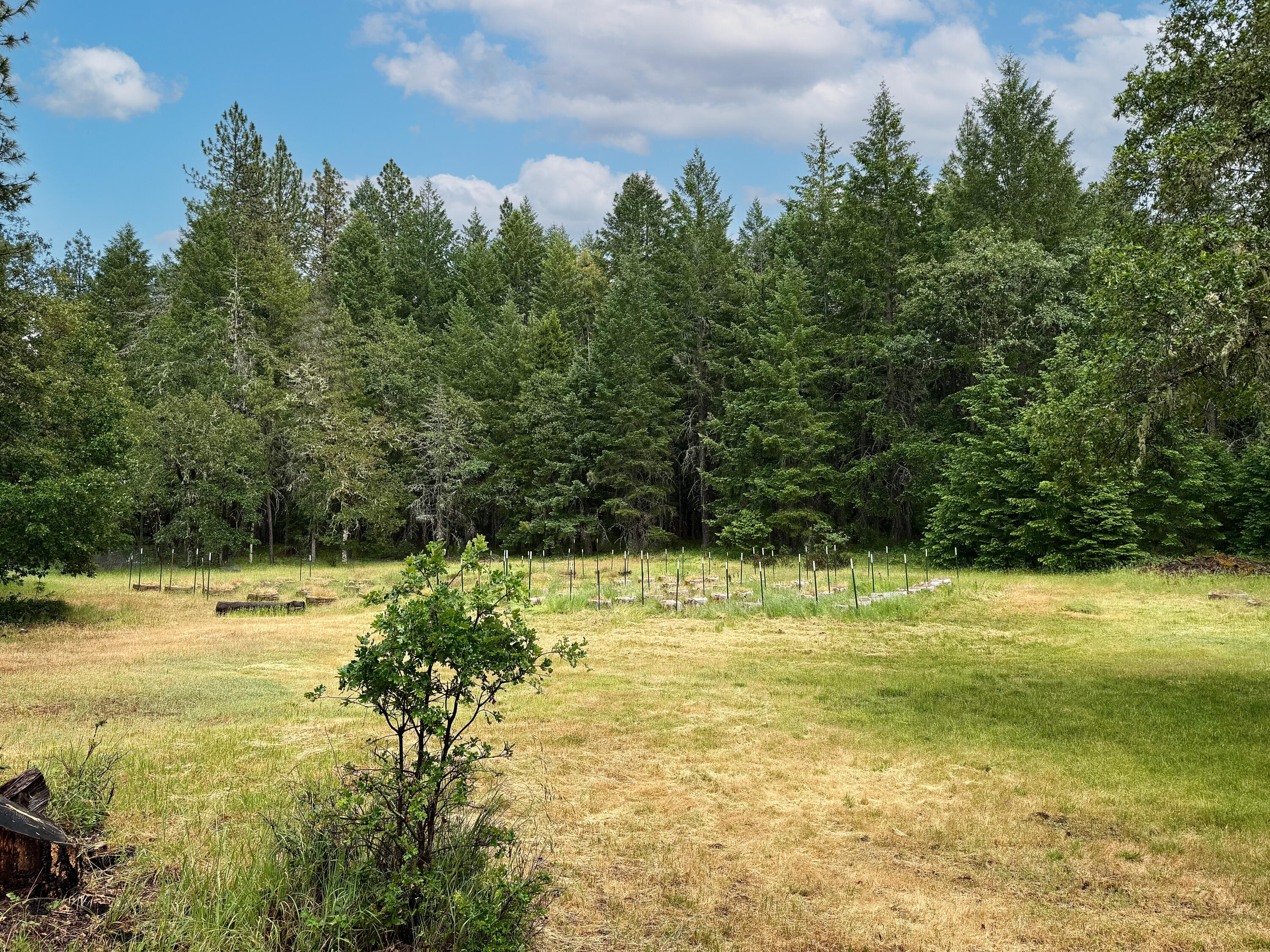 42256 Highway 62 Prospect, OR 97536 - Photo 31 of 48 a view of an ocean view