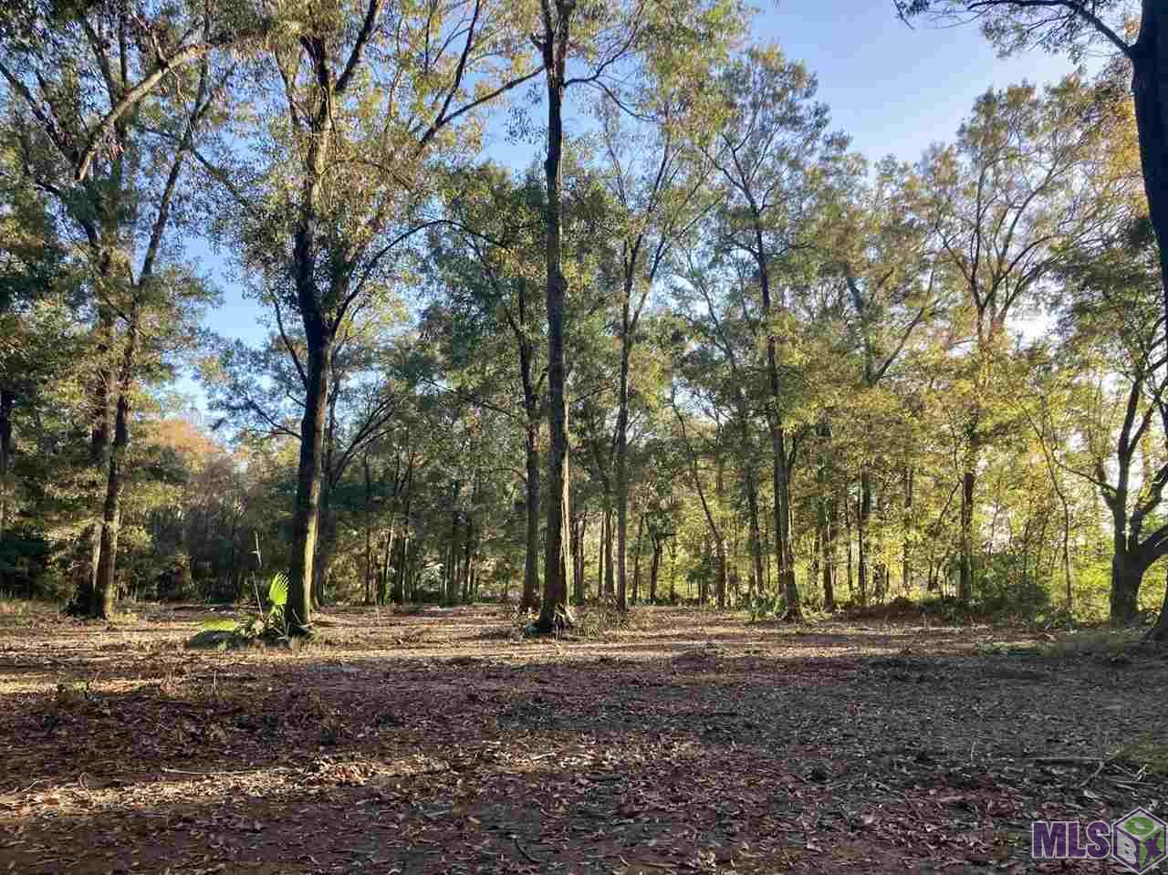 12411 Rouyea Lane St. Amant, LA 70774 - Photo 1 of 1 Gallery Image 1