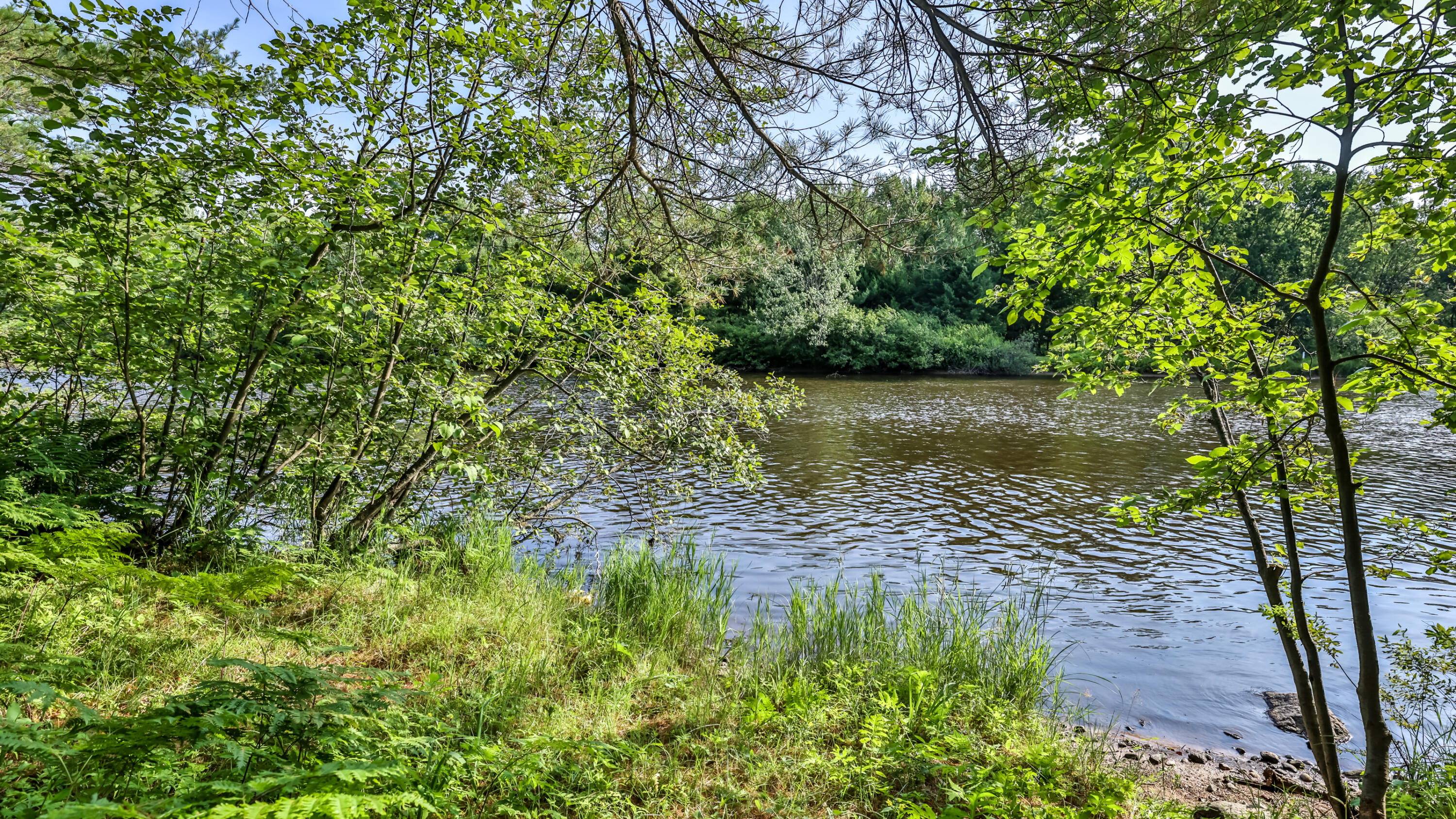 7006 West Rapids Road Lake Tomahawk, WI 54539 - Photo 13 of 28 RIVER PROPERTY-15