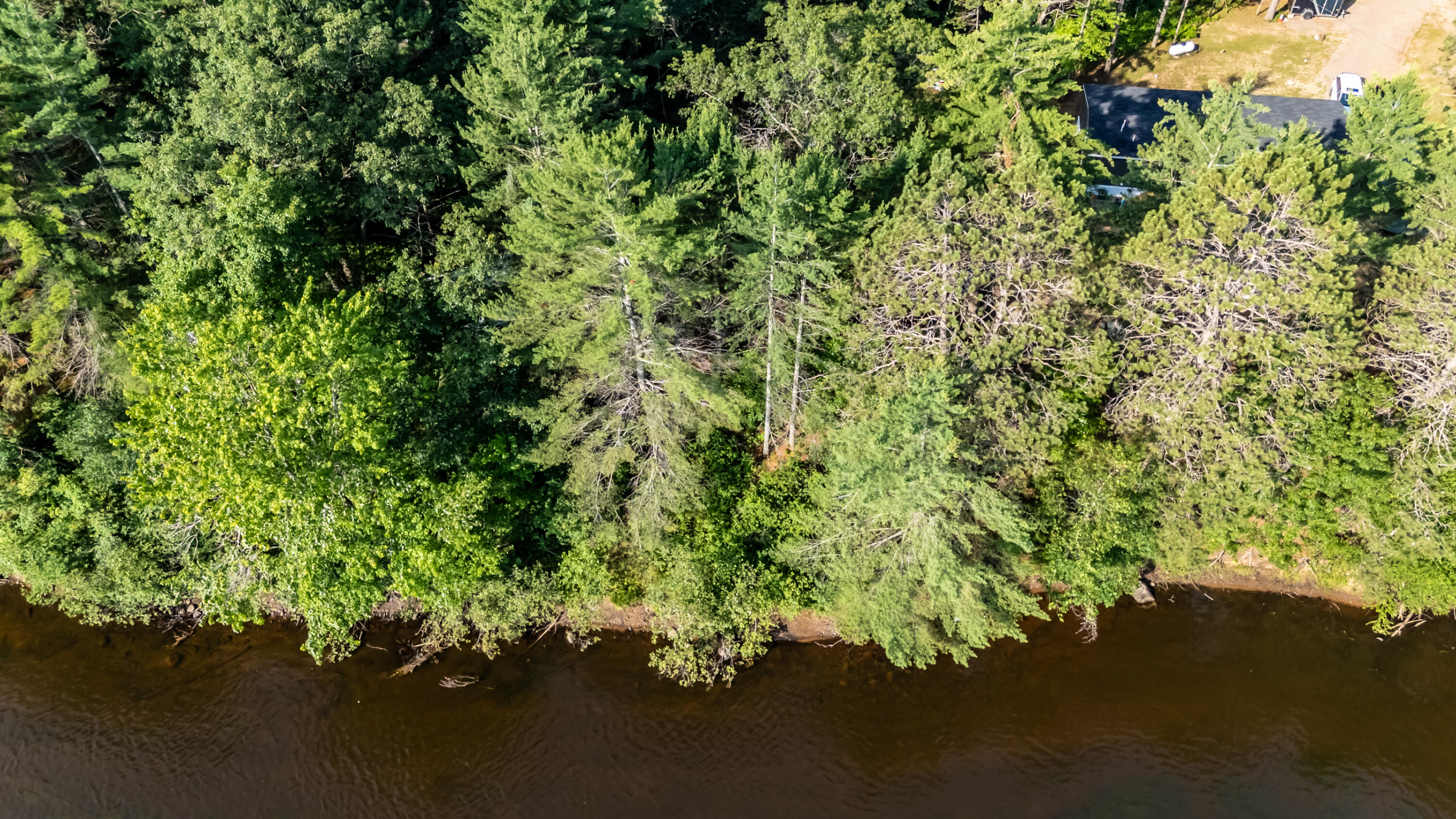7006 West Rapids Road Lake Tomahawk, WI 54539 - Photo 23 of 28 RIVER PROPERTY-8