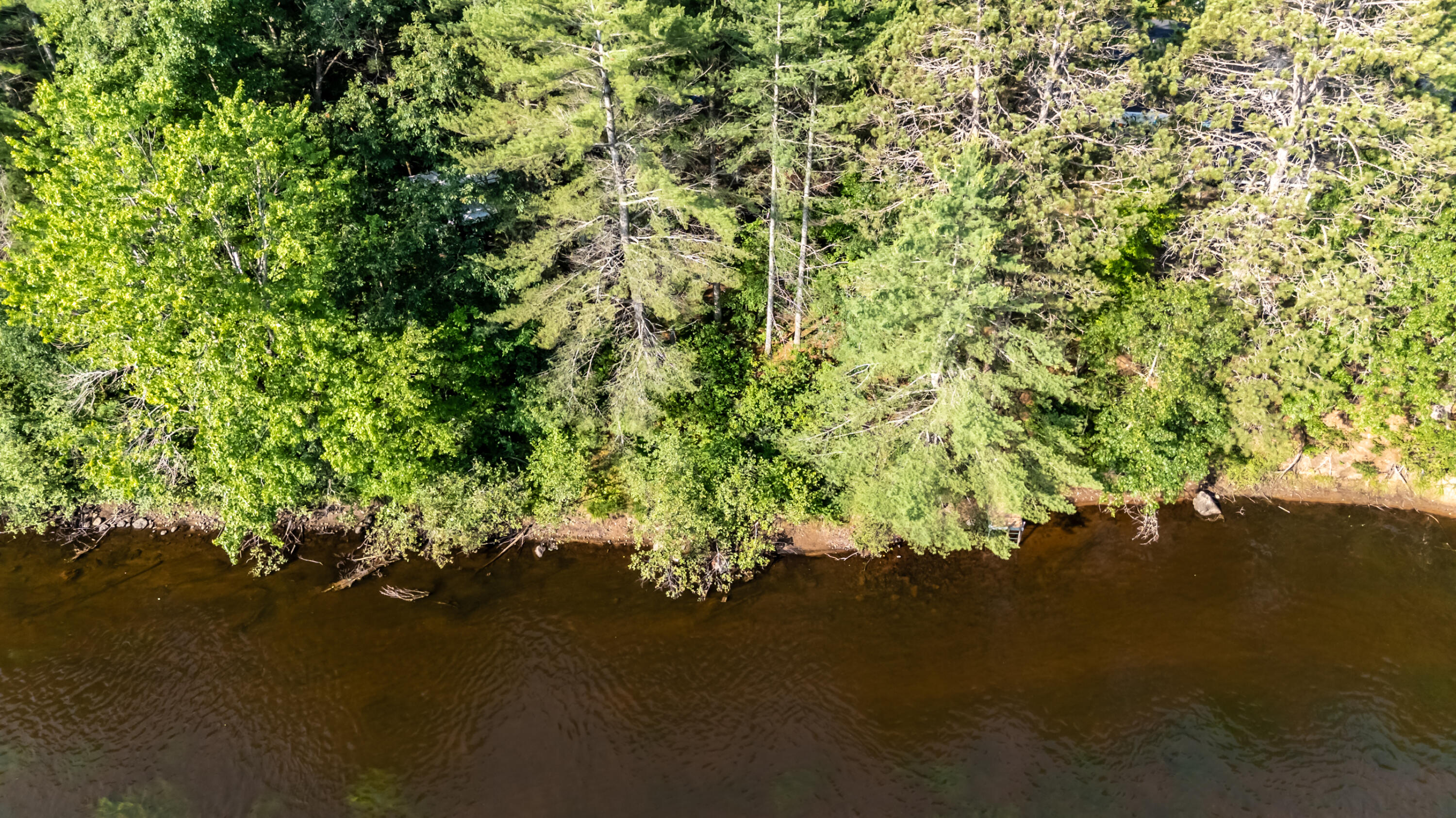 7006 West Rapids Road Lake Tomahawk, WI 54539 - Photo 24 of 28 RIVER PROPERTY-9