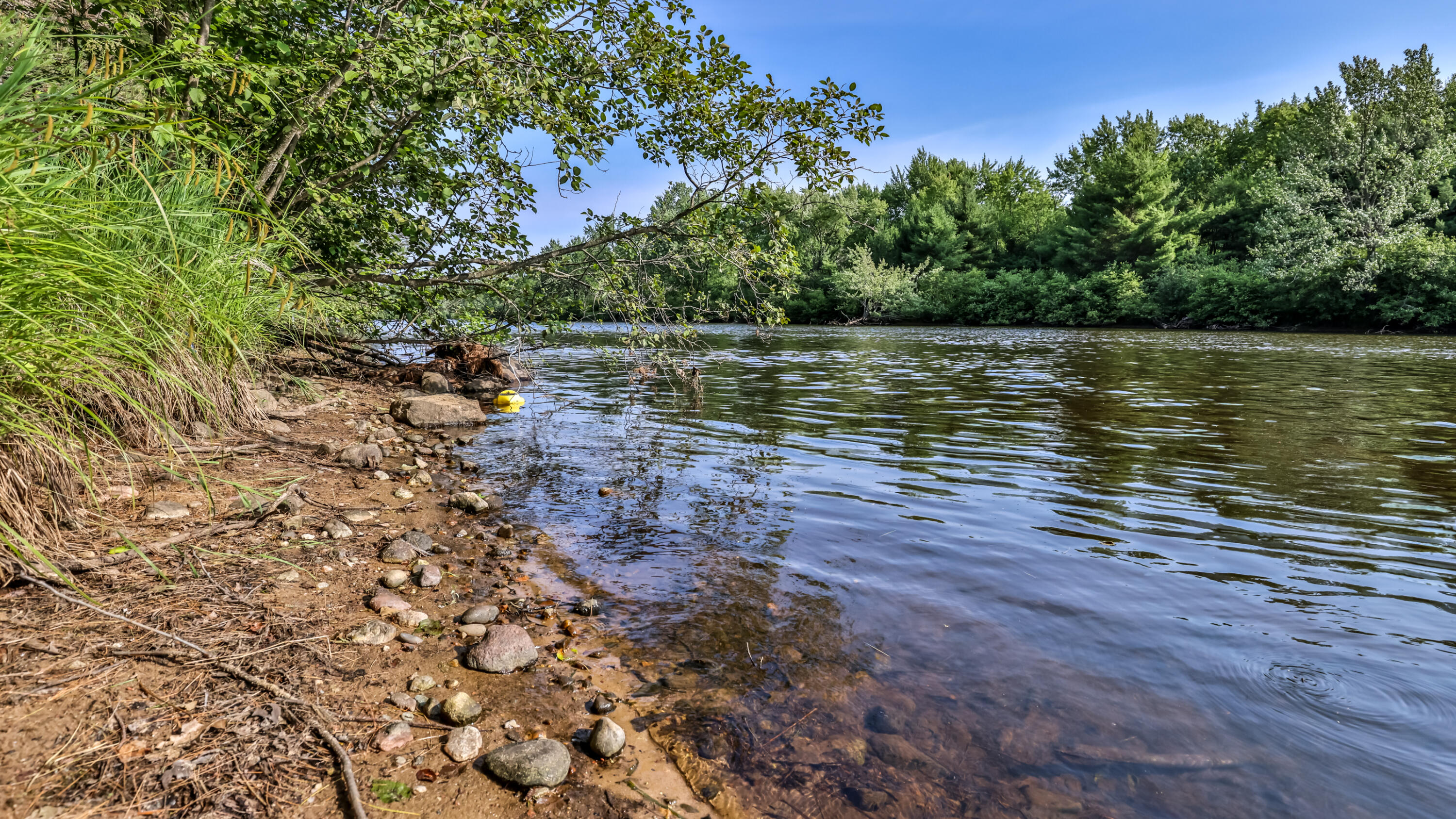 7006 West Rapids Road Lake Tomahawk, WI 54539 - Photo 6 of 28 RIVER PROPERTY-17