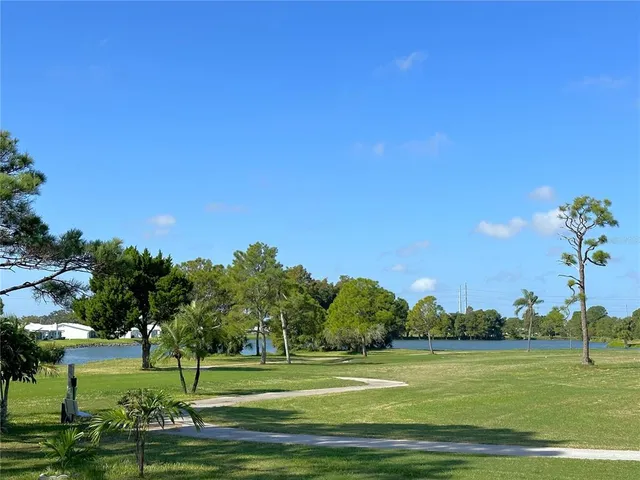 a view of a big yard with a large trees