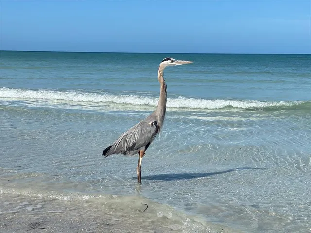a view of an ocean and beach