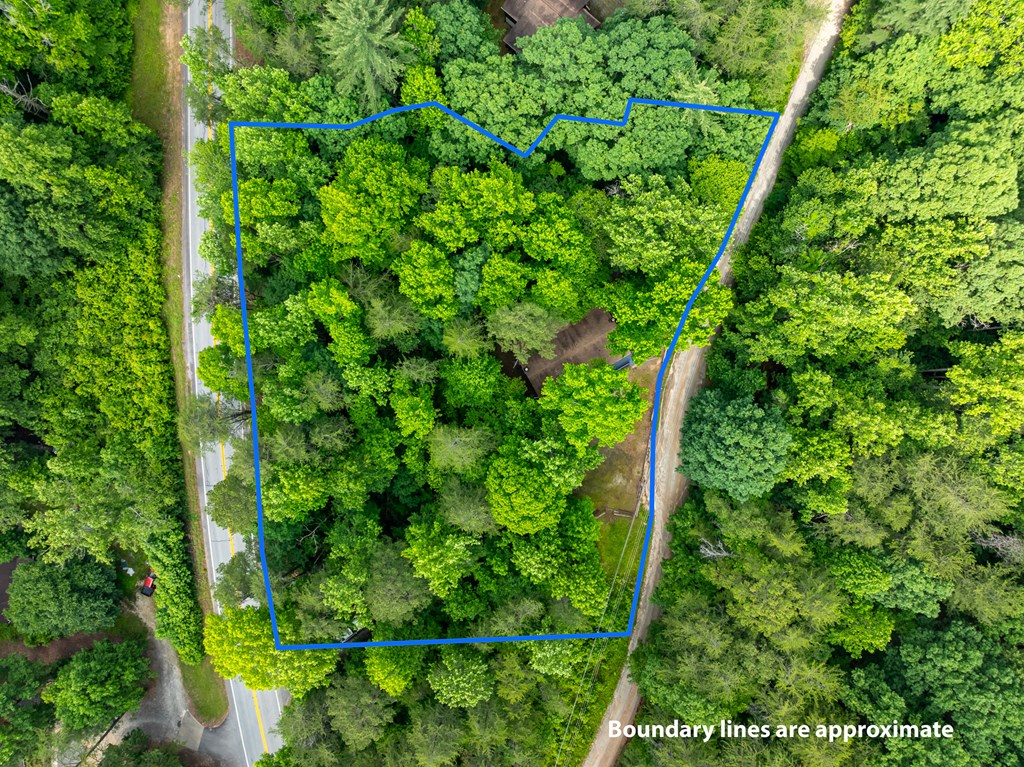 3573 Highway 356 Sautee Nacoochee, GA 30571 - Photo 12 of 53 a view of a garden