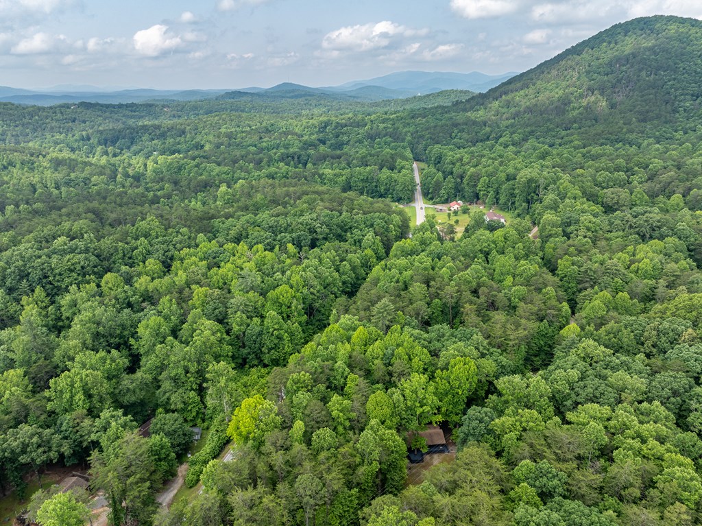 3573 Highway 356 Sautee Nacoochee, GA 30571 - Photo 14 of 53 a view of a lush green forest with lots of trees
