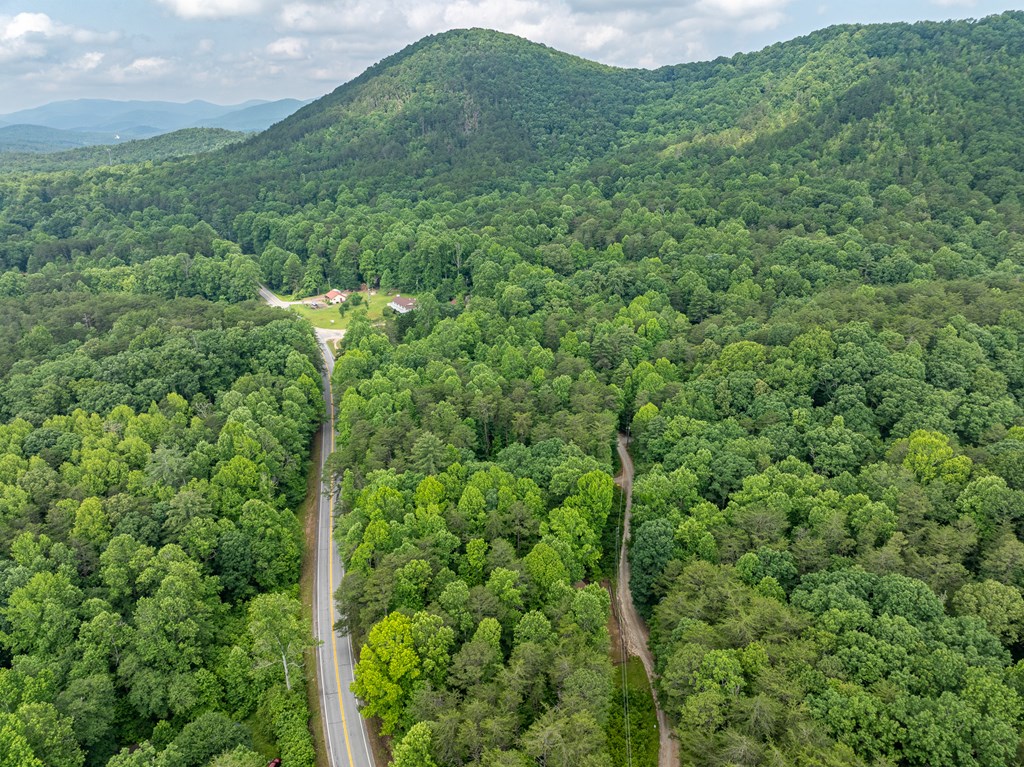 3573 Highway 356 Sautee Nacoochee, GA 30571 - Photo 15 of 53 a view of a forest with a street