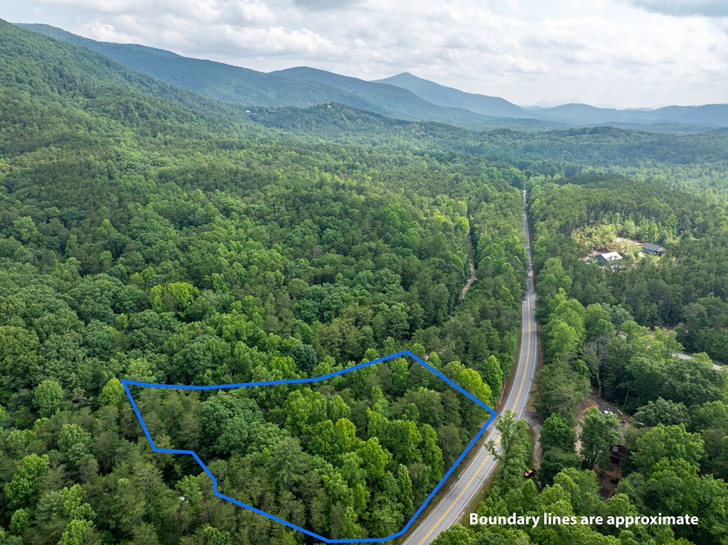 3573 Highway 356 Sautee Nacoochee, GA 30571 - Photo 16 of 53 a view of a lush green forest with lots of trees
