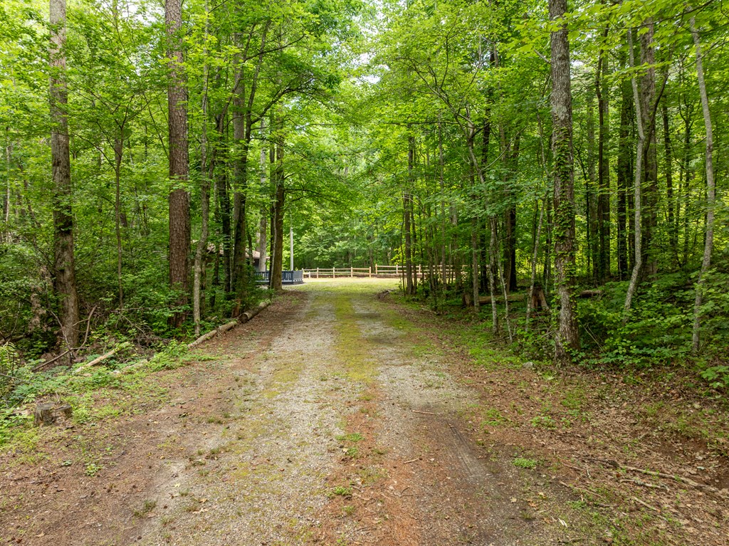 3573 Highway 356 Sautee Nacoochee, GA 30571 - Photo 2 of 53 a view of outdoor space and trees