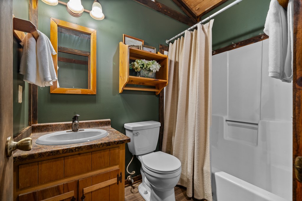 3573 Highway 356 Sautee Nacoochee, GA 30571 - Photo 27 of 53 a bathroom with a sink a toilet and shower