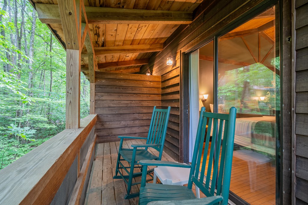 3573 Highway 356 Sautee Nacoochee, GA 30571 - Photo 30 of 53