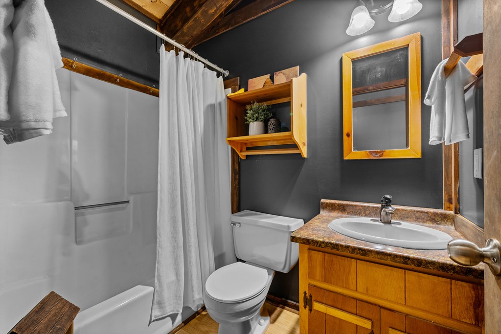 3573 Highway 356 Sautee Nacoochee, GA 30571 - Photo 39 of 53 a bathroom with a toilet sink and mirror