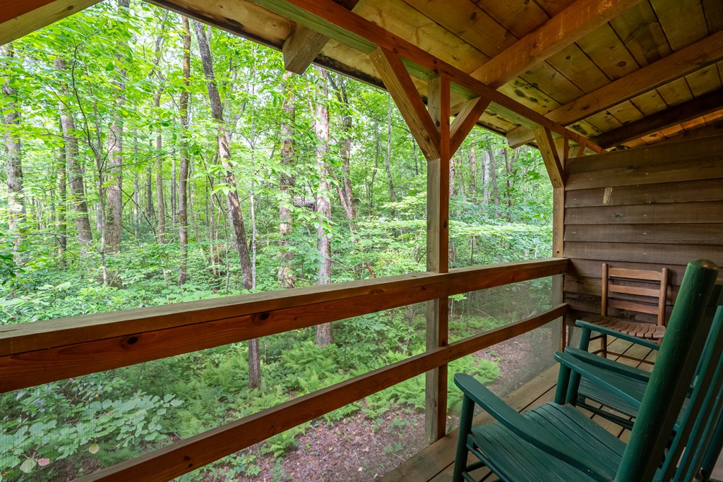 3573 Highway 356 Sautee Nacoochee, GA 30571 - Photo 41 of 53 a view of outdoor with green trees