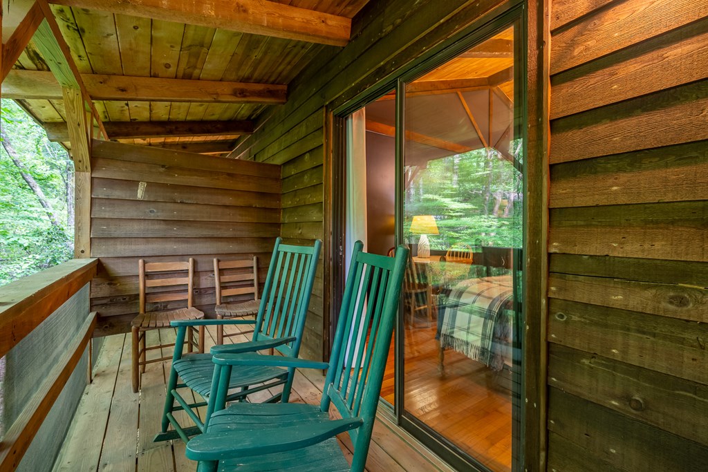 3573 Highway 356 Sautee Nacoochee, GA 30571 - Photo 42 of 53