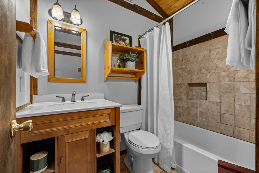 3573 Highway 356 Sautee Nacoochee, GA 30571 - Photo 51 of 53 a bathroom with a sink a toilet and shower